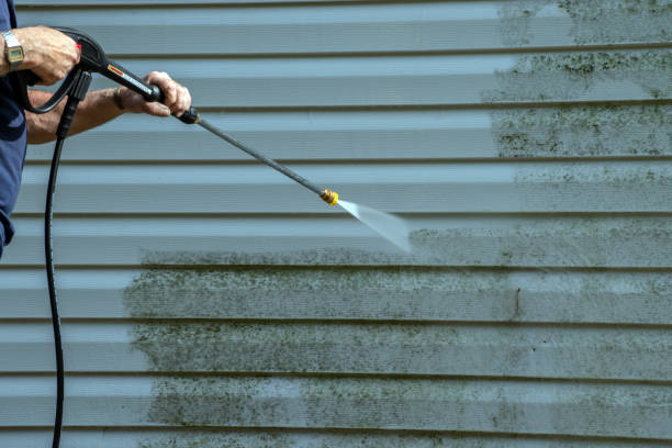 Best Pressure Washing Cost  in Lutherville, MD