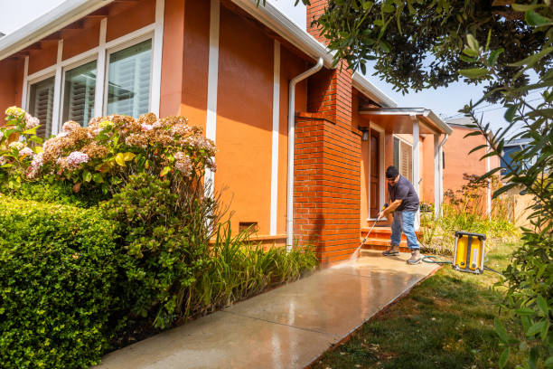 Best Affordable Pressure Washing  in Lutherville, MD