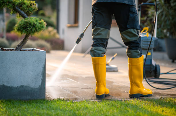 Best Affordable Power Washing  in Lutherville, MD